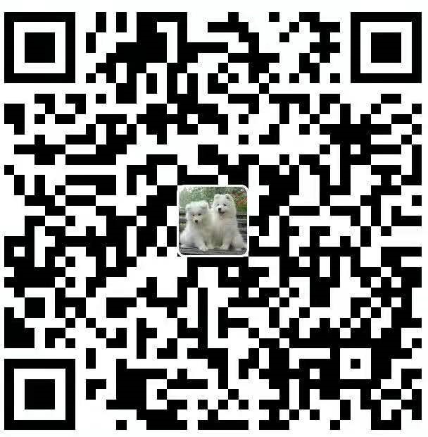 支付宝打赏二维码